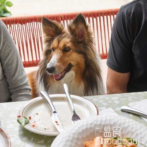 寵物友善專屬菜單