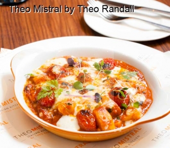 Theo Mistral